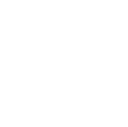 ICÔNE