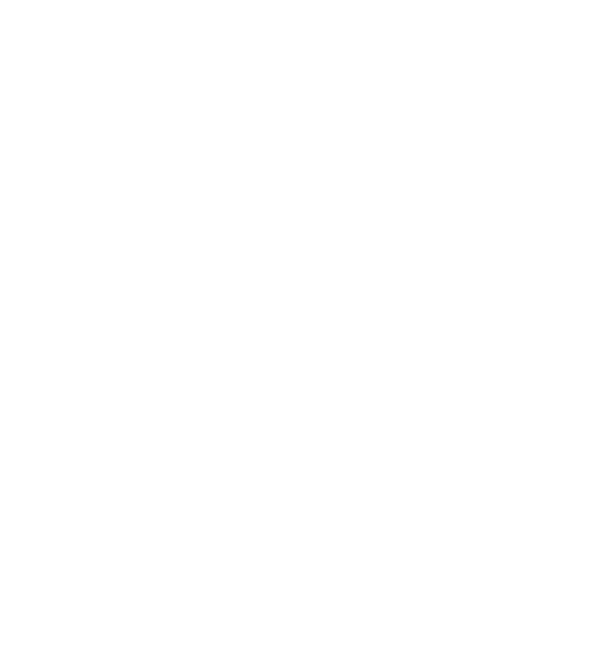 ICÔNE