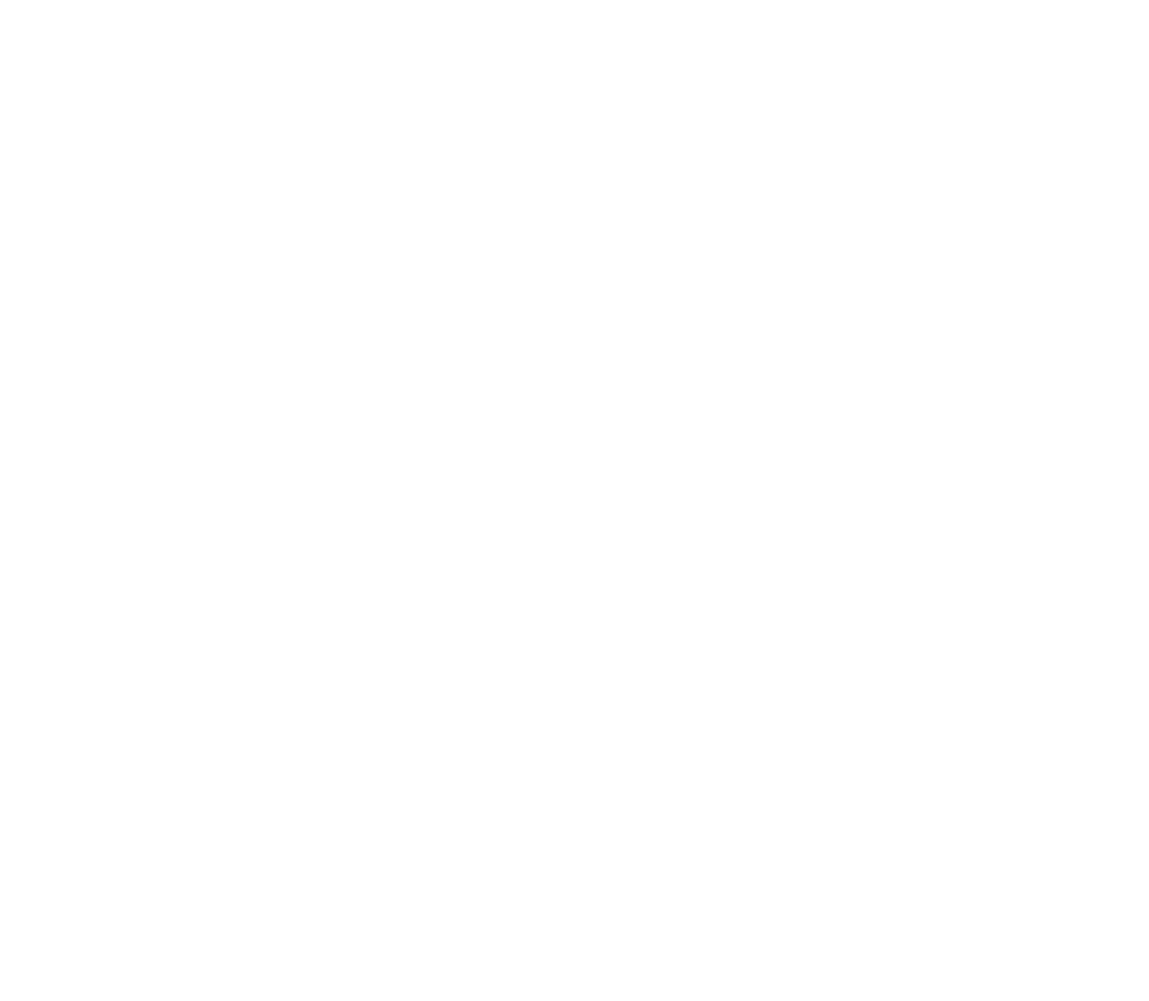 ICÔNE