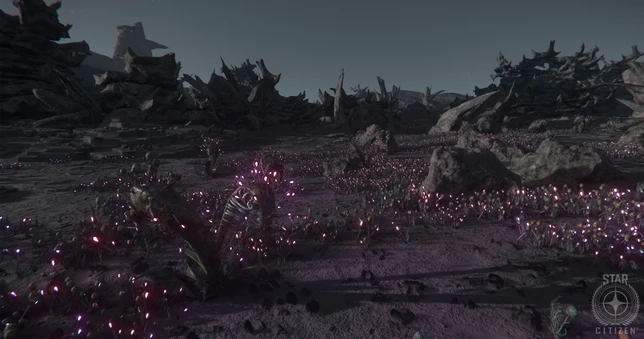 D'étranges plantes de l'espace