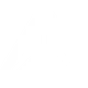 ICÔNE