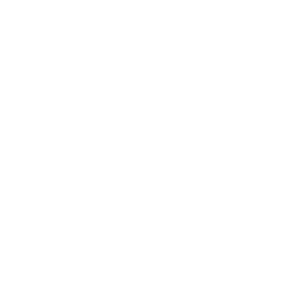 ICÔNE