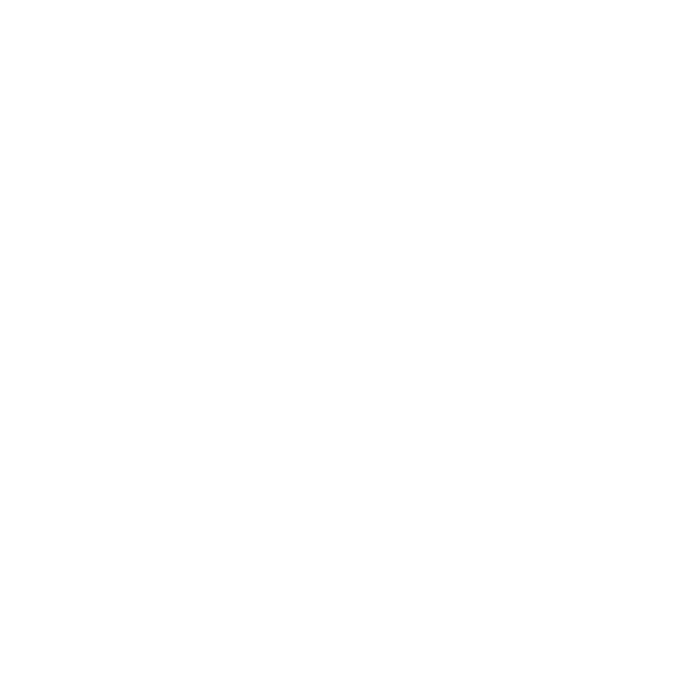 ICÔNE