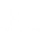 ICÔNE